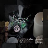 Image 1 of ☽ Althea Sylvestris ☾