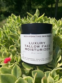 Image 13 of Tallow Calendula Face Moisturizer - Unscented