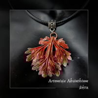 Image 1 of ☽ Artemisia Absinthium ☾