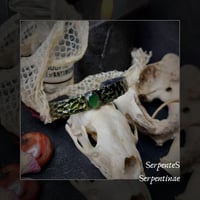 Image 1 of ☽ Serpentinae ☾