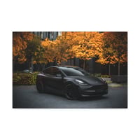 Image 2 of 2022 Tesla Model Y Canvas