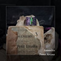 Image 1 of ☽ Penna Arcana ☾