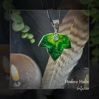Image 3 of ☽ Hedera Helix ☾