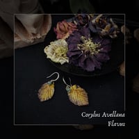 Image 1 of ☽ Corylus Flavus ☾