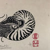 Hupa Linocuts Prints- 'Nautilus'