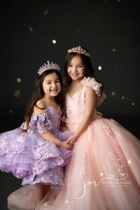 Image 1 of Glitter Mini Sessions $275.00