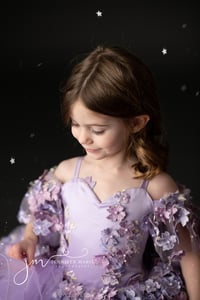 Image 2 of Glitter Mini Sessions $275.00