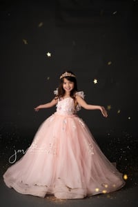 Image 3 of Glitter Mini Sessions $275.00