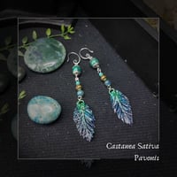 Image 1 of ☽ Castanea Pavonis ☾