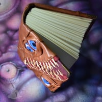 Image 2 of Brown Split Book - Hand Painted Eyes