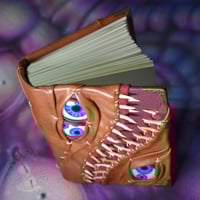 Image 6 of Brown Split Book - Hand Painted Eyes