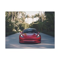 Image 2 of 2022 Tesla Model 3 Canvas