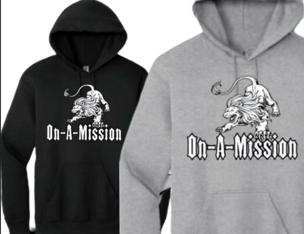 Image of On-A-Mission™️Hoodie (Drop3)