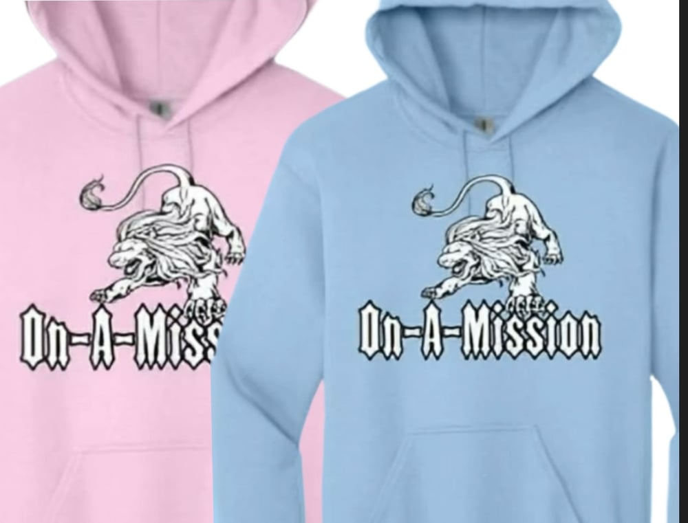 Image of On-A-Mission™️Hoodie (Drop3)