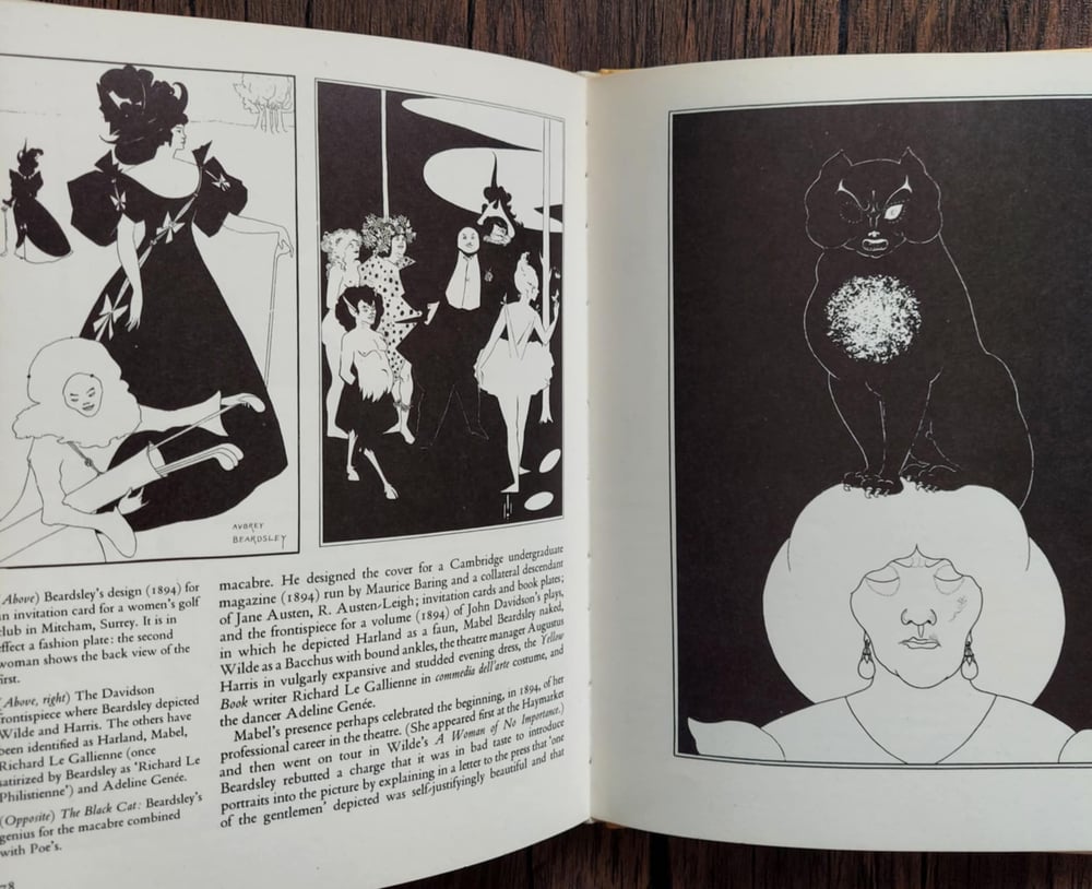 Beardsley and His World, by Brigid Brophy