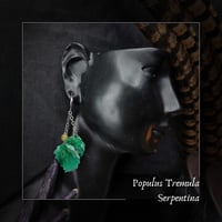 Image 1 of ☽ Populus Tremula Serpentina ☾
