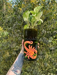 Image 1 of Scorpion Upcycled Self-Watering Planter 