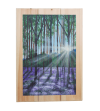 Image 1 of Echoes of Spring