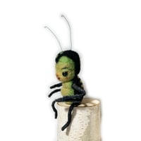 Image 4 of Bones Beetle