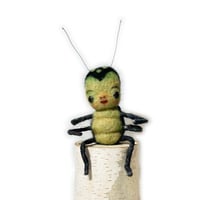 Image 5 of Bones Beetle