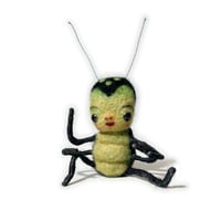 Image 1 of Bones Beetle