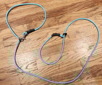 Handsfree Sliplead leash