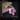 ☽ Althea Officinalis ☾