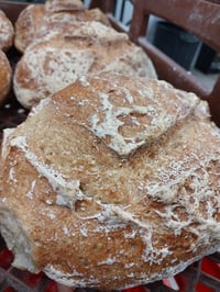 GF Cob loaf 550g 