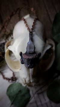 Image 2 of Cat Vertebra Bone and Quartz Crystal Pendant