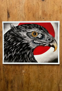 Image 1 of Eagle print by Thomas Hooper