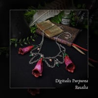 Image 1 of ☽ Digitalis Rosalia ☾
