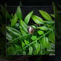 Image 1 of ☽ Solaria ☾