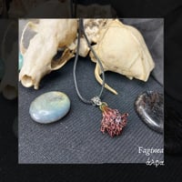 Image 1 of ☽ Faginea ☾