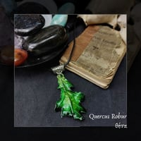 Image 1 of ☽ Quercus Robur ☾