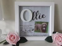 Image 9 of Personalised Pet Loss Frame,Pet Initial frame,Pet Memorial Frame, Pet Loss Gift