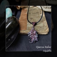 Image 3 of ☽ Quercus Robur ☾