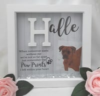 Image 20 of Personalised Pet Loss Frame,Pet Initial frame,Pet Memorial Frame, Pet Loss Gift