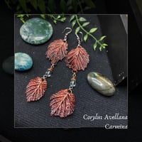 Image 1 of ☽ Corylus Carmina ☾