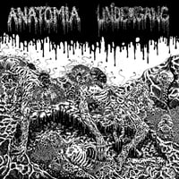 Image 1 of Anatomia/Undergang split LP