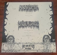 Image 2 of Anatomia/Undergang split LP