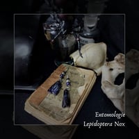Image 1 of ☽ Lepidoptera Nox ☾