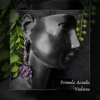 Image 1 of ☽ Primula Violacea ☾