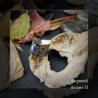 Image 1 of ☽ Serpenta Arcana II ☾