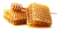 Honey Nourishing Lip Balm