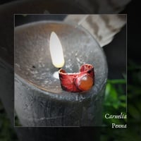 Image 1 of ☽ Penna Carnelia ☾