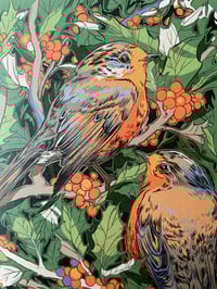 Image 3 of Robins - Christmas Card