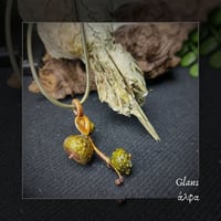 Image 1 of ☽ Quercus - Glans ☾