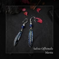 Image 1 of ☽ Salvia Marita ☾