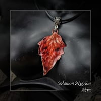 Image 1 of ☽ Solanum Nigrum ☾