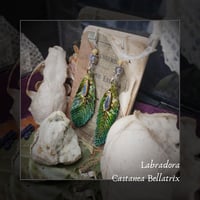 Image 1 of ☽ Castanea Bellatrix ☾